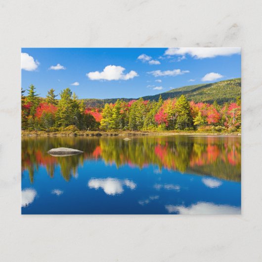 Carte Postale Automne dans le New Hampshire (Devant)