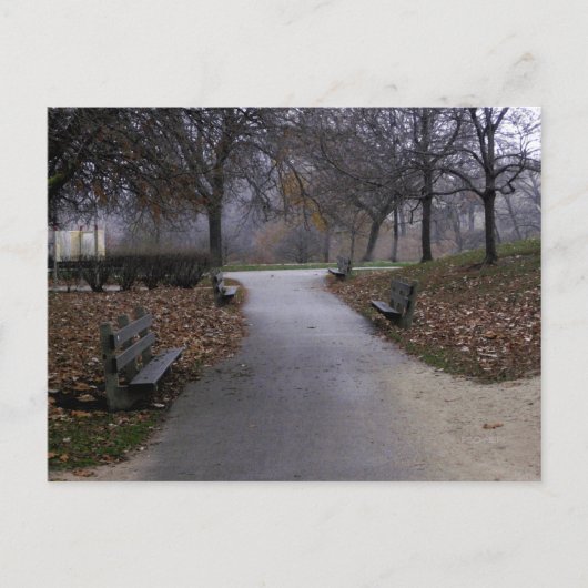 Carte Postale Automne dans le parc (Devant)