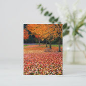 Carte Postale Automne dans le parc (Debout devant)