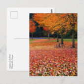 Carte Postale Automne dans le parc (Devant / Derrière)