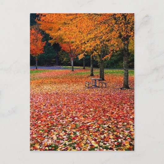 Carte Postale Automne dans le parc (Devant)