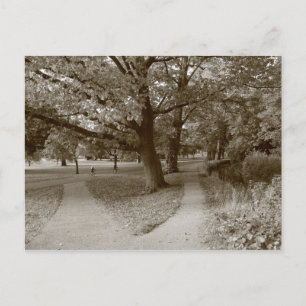 Carte Postale Automne dans le parc - Sepia Toned BW