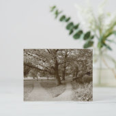 Carte Postale Automne dans le parc - Sepia Toned BW (Debout devant)