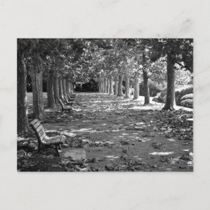 Carte Postale Automne dans le parc : Tokyo