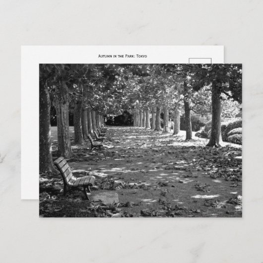 Carte Postale Automne dans le parc : Tokyo (Devant / Derrière)