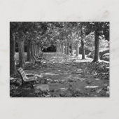 Carte Postale Automne dans le parc : Tokyo (Devant)