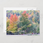 Carte Postale Automne dans les Adirondacks (Devant / Derrière)