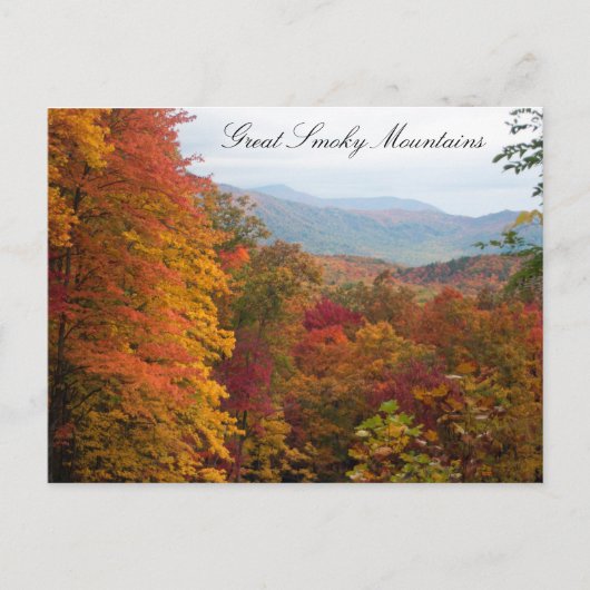 Carte Postale Automne dans les montagnes (Devant)