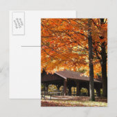 Carte Postale Automne Dans Un Parc (Devant / Derrière)