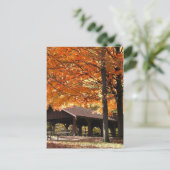Carte Postale Automne Dans Un Parc (Debout devant)