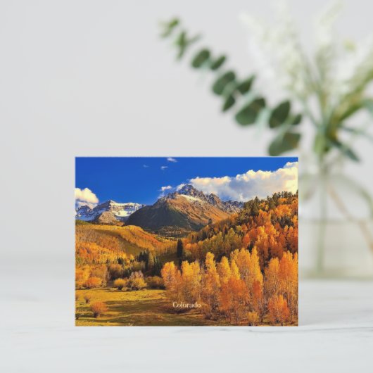 Carte Postale Automne du Colorado (Debout devant)