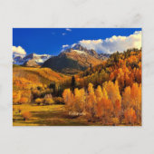 Carte Postale Automne du Colorado (Devant)