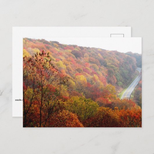 Carte Postale Automne en Caroline du Nord (Devant / Derrière)