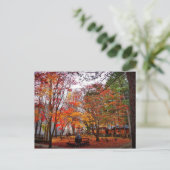 Carte Postale Automne en Corée (Debout devant)