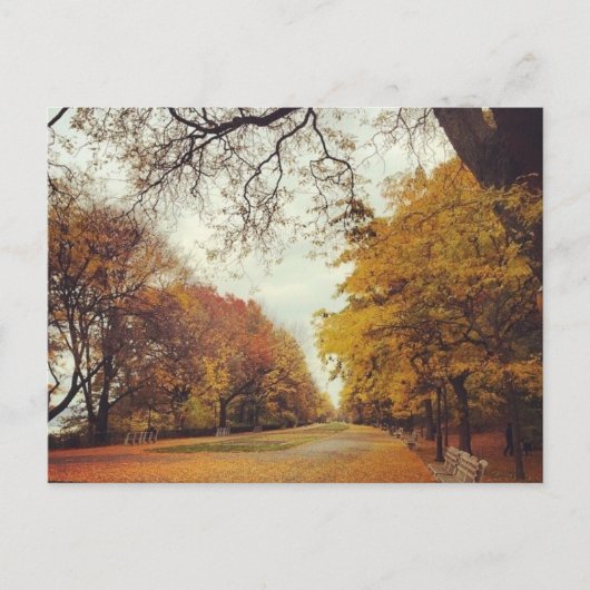 Carte Postale Automne Feuilles NYC Riverside Park New York Autom (Devant)
