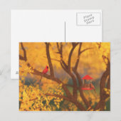 Carte postale Automne Guardian (Devant / Derrière)