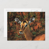 Carte Postale Automne Impala imaginaire art (Devant / Derrière)