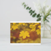 Carte Postale Automne inspirant (Debout devant)