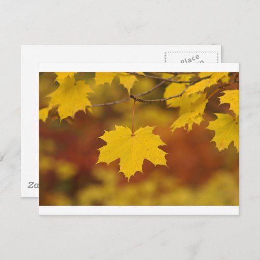 Carte Postale Automne inspirant (Devant / Derrière)