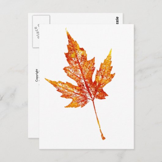 Carte postale "Automne Maple #2" (Devant / Derrière)