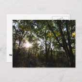 Carte Postale Automne Matin au Parc national de Shenandoah (Devant / Derrière)