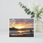 Carte Postale Automne matin sur la côte du Maine (Debout devant)