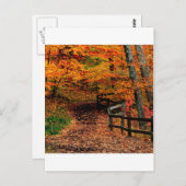 Carte Postale Automne Mccormick Creek State Park Indiana (Devant / Derrière)