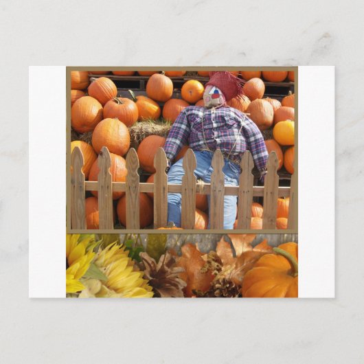 Carte Postale Automne Midwest (Devant)