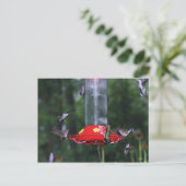 Carte Postale Automne Migration des colibris (Debout devant)