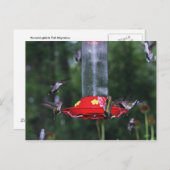 Carte Postale Automne Migration des colibris (Devant / Derrière)