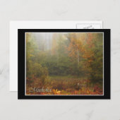 Carte Postale Automne Muskoka (Devant / Derrière)