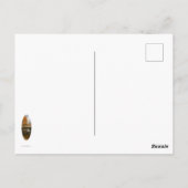 Carte Postale Automne nord-est (Dos)