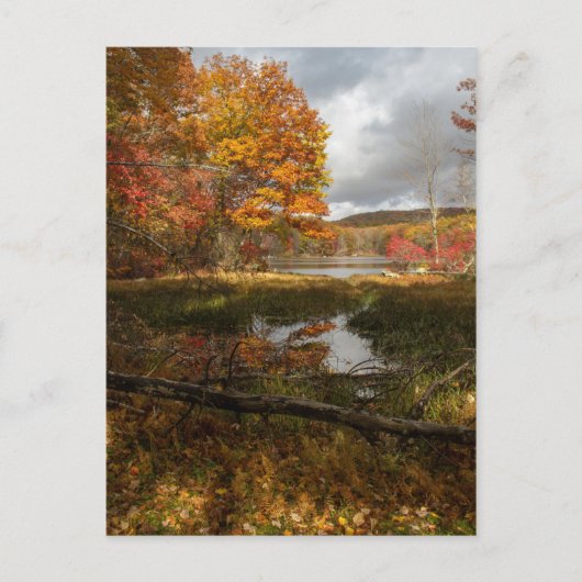 Carte Postale Automne nord-est (Devant)