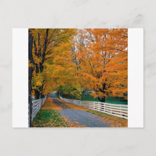 Carte Postale Automne Pittoresque Backroad New Hampshire