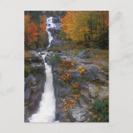 Carte Postale Automne Silver Cascade (Devant)