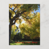 Carte Postale Automne sur Campus II (Devant)