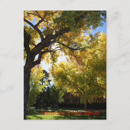 Carte Postale Automne sur Campus II (Devant)