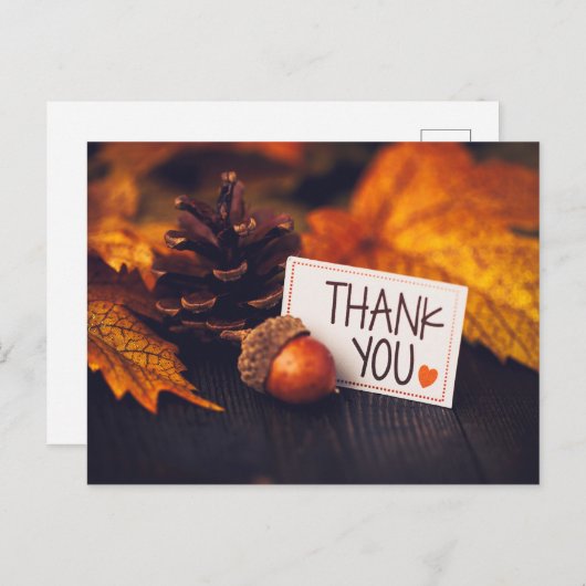 Carte Postale Automne Thanksgiving Photographie Citrouille (Devant / Derrière)