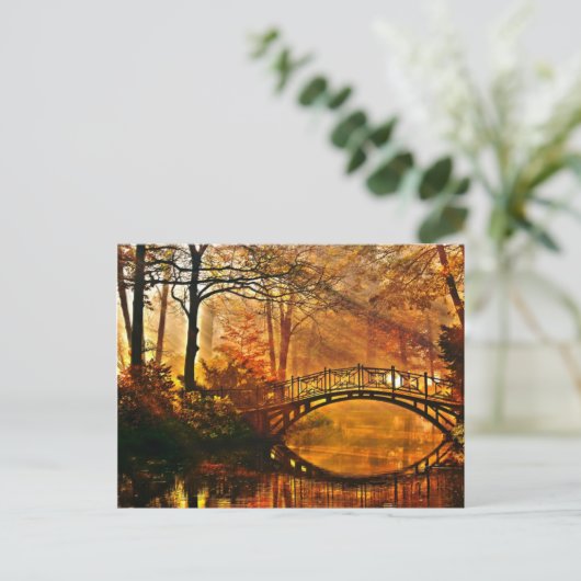 Carte Postale Automne - Vieux pont en automne parc brouillard (Debout devant)
