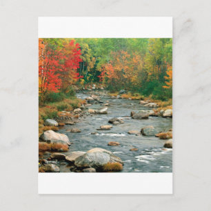 Carte Postale Automne White Mounts New Hampshire