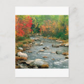 Carte Postale Automne White Mounts New Hampshire (Devant)