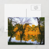 Carte Postale Automne Winnipeg (Devant / Derrière)