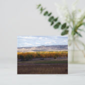 Carte Postale Automne Wyoming (Debout devant)