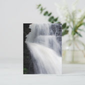 Carte Postale Automnes de demoiselles d'honneur (Debout devant)