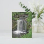 Carte Postale Automnes de Minneopa (Debout devant)