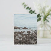 Carte Postale Autoroute 1 Plage rocheuse (Debout devant)