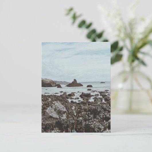 Carte Postale Autoroute 1 Plage rocheuse (Debout devant)