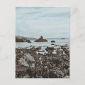 Carte Postale Autoroute 1 Plage rocheuse (Devant)