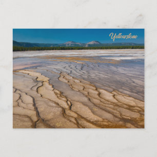 Carte Postale Autour du Grand Prismatic Spring Yellowstone
