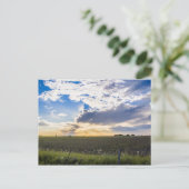Carte Postale Autre coucher de soleil (Debout devant)